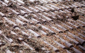 St Briavels roof cleaning companies